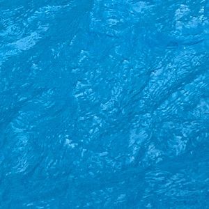 Meet your Posher, Jayla